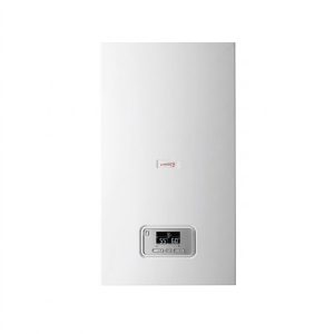 Centrala electrica Protherm Ray